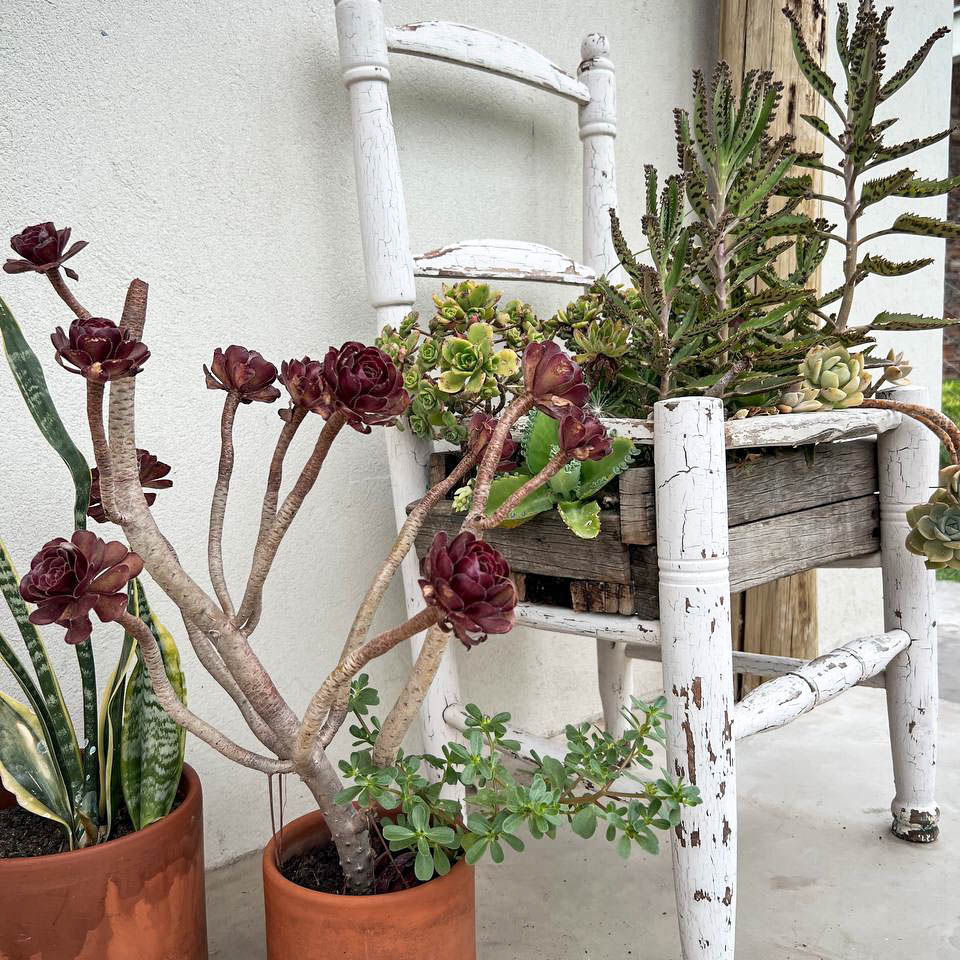 photo_5064596333201042129_y