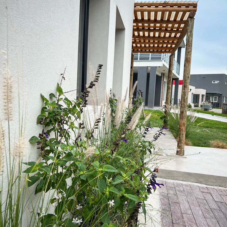 photo_5066848133014727514_y